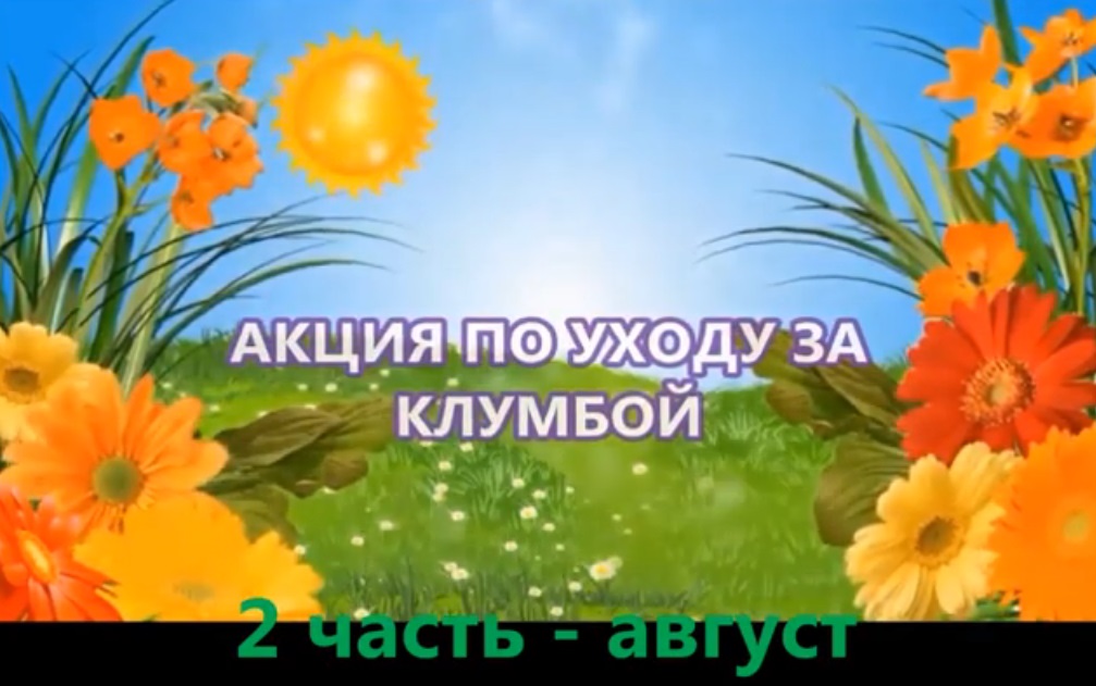 Зеленый островок. 2 часть - август